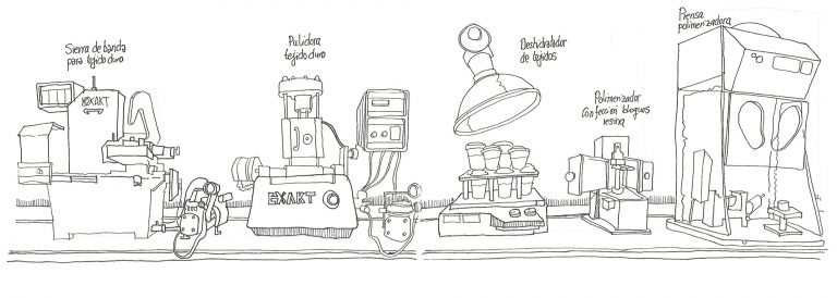 anatomia_01-768×274