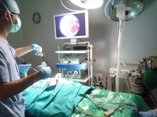 p1020302_01-510×382