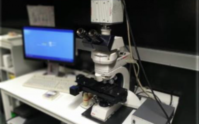 SCT de Microscopía e Imagen: solicitudes de Widefield – Chequeo de muestras Autoservicio hasta el 15 de julio
