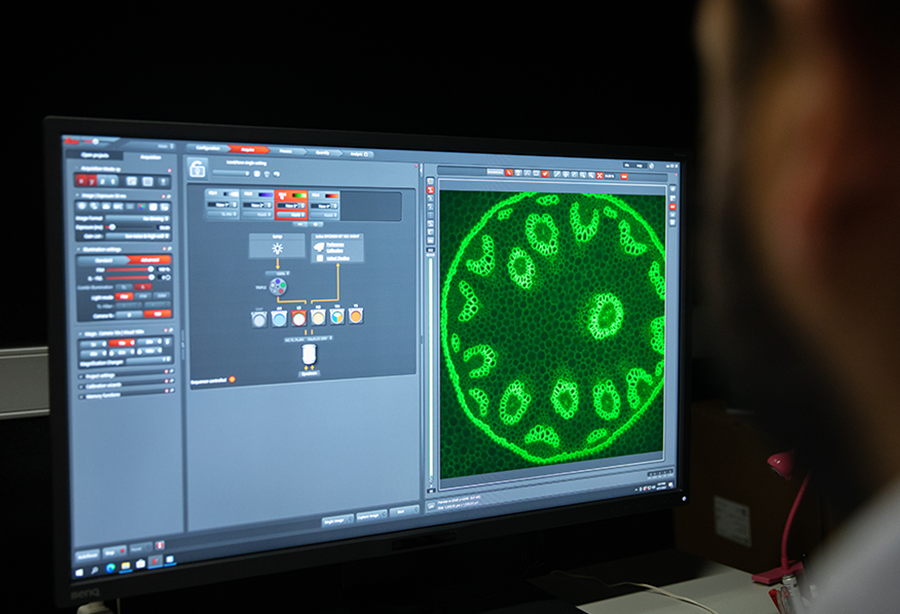 microscopía e imagen