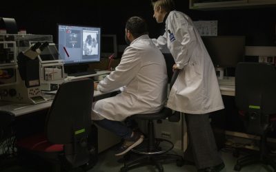 Microscopía e Imagen abre un nuevo canal de comunicación con usuarios y usuarias