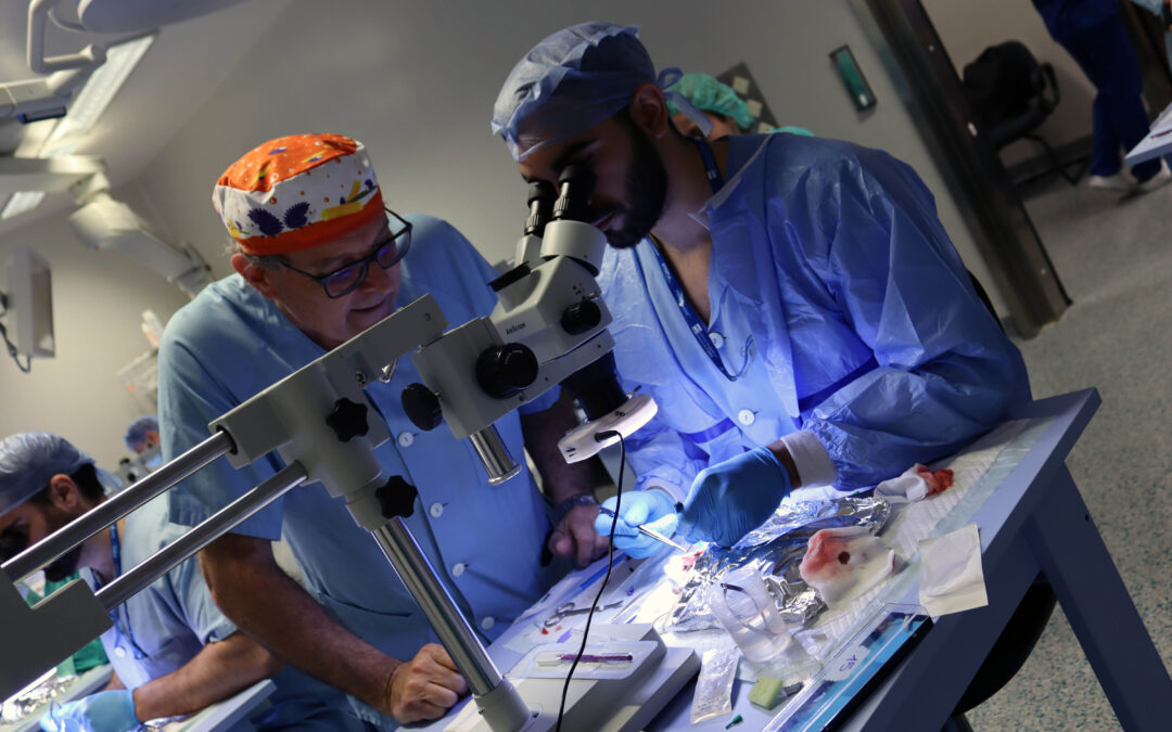 Cirujanos y Traumatólogos de toda España mejoran sus destrezas en cirugía de la mano y microcirugía en el CIBA