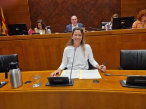 La directora gerente del Instituto Aragonés de Ciencias de la Salud, Elena Gonzalvo, durante su comparecencia en las Cortes de Aragón. Gobierno de Aragón