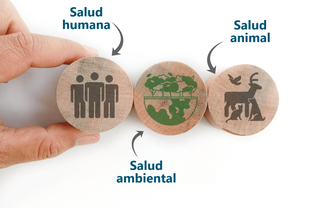 El Instituto Aragonés de Ciencias de la Salud integra el enfoque ‘Una sola salud’ en el Diplomado en Salud Pública 2026