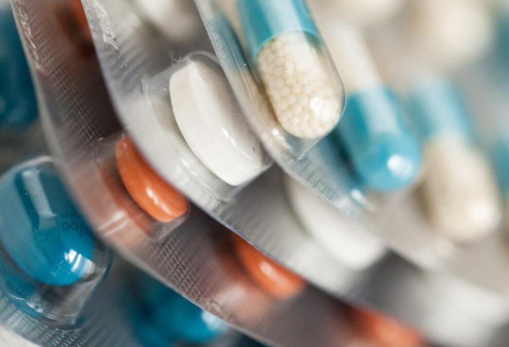 El Consejo de Gobierno da un impulso a la Estrategia Aragonesa de Una Sola Salud