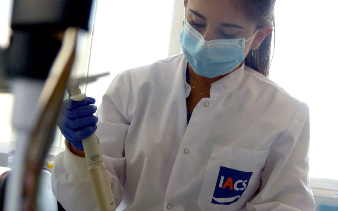 Bea Jimeno_horizontal